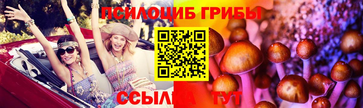Феодосия  Псилоцибиновые грибы GOLDEN TEACHER  Вход с VPN  Галлюциногенные грибы GOLDEN TEACHER 